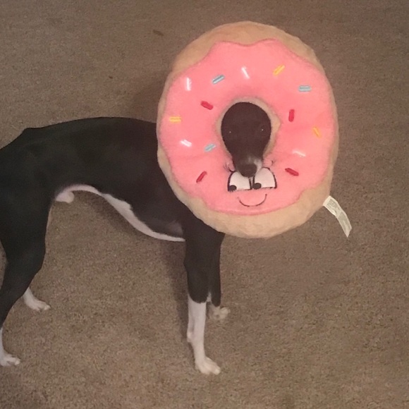 Hey, I’m Lindsay! - Picture 5 of 7